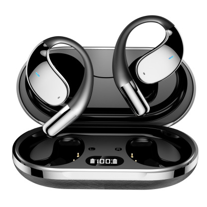 Language Translator Earbuds